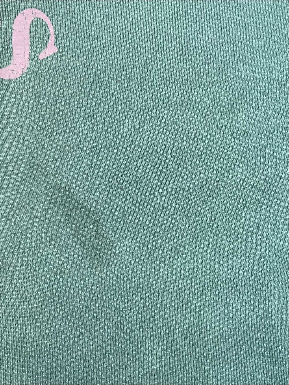 Palm Springs West Coast California green T-Shirt - Picture 4 of 4